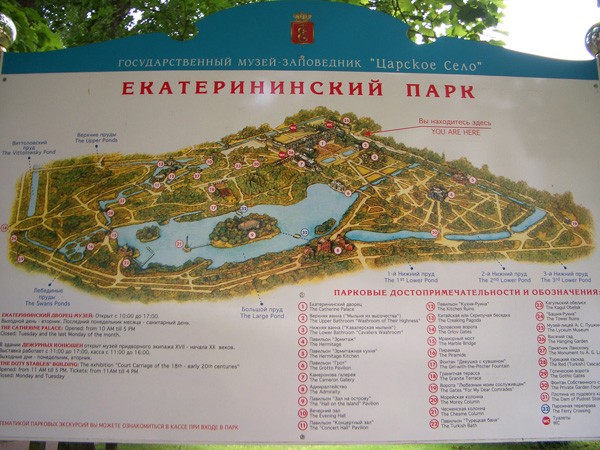 CIMG0553